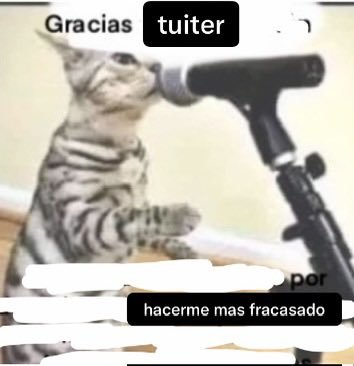 Rafaelacaesta's tweet photo. https://t.co/d4Kqpgi5eZ