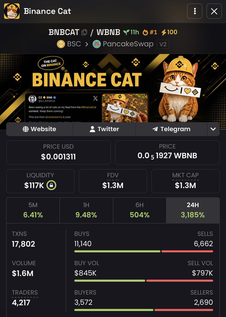 notEezzy's tweet photo. I bought some $BNBCAT https://t.co/OvswcLJRZ9