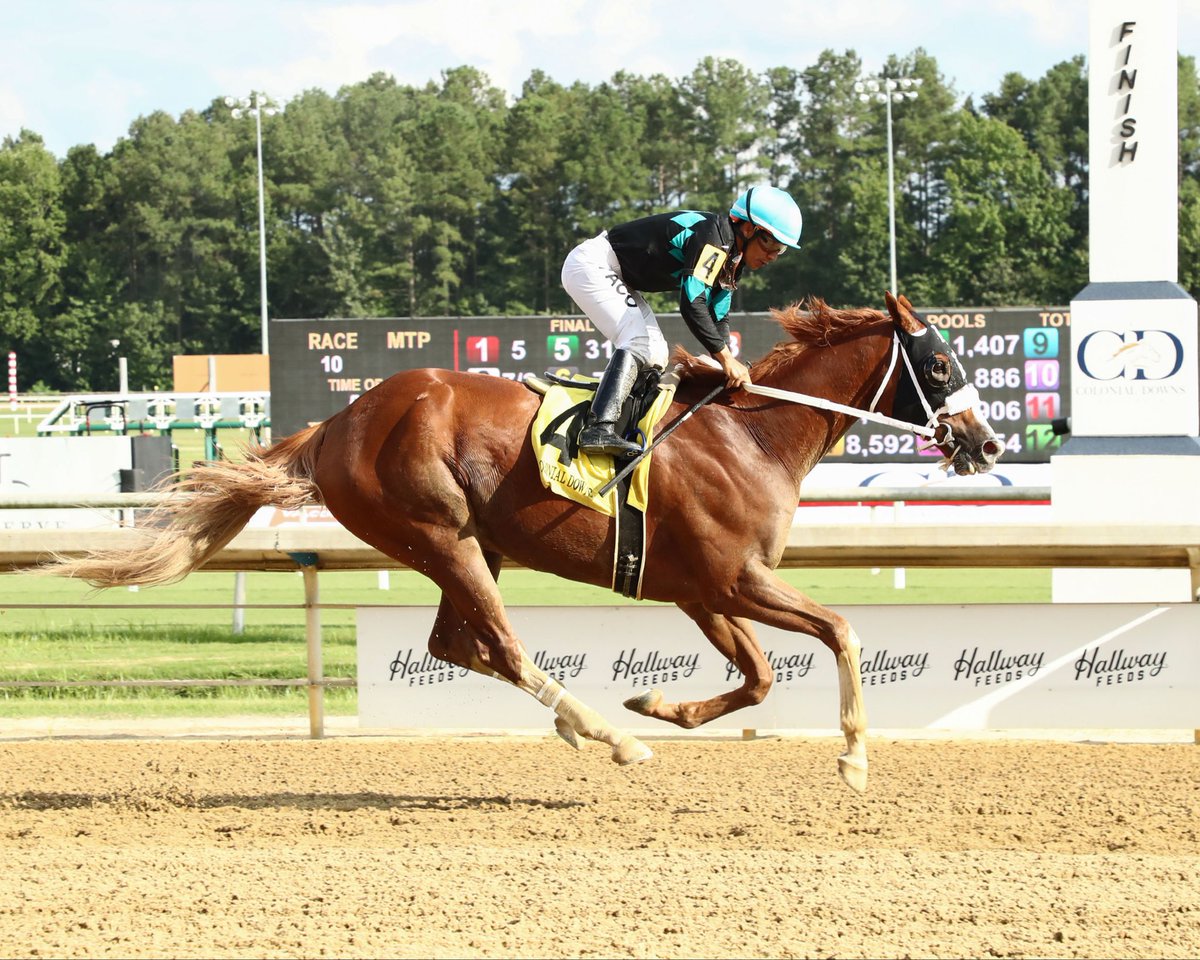 nationalhbpa's tweet photo. Congrats to Cadet Corps, winner of @ColonialDowns' #ClaimingCrown Showcase Jewel Qualifier in track record time (1:45.29 for 1 1/8 mile). @Pacolopez1018 up for trainer/co-owner @Kellyjohnbreen & @kenwoodracing. @coadymediaUSA photos. #ClaimToFame @VirginiaRacing @TrustYourLuck @Twinspires @TomAmossRacing @cbredar @TOBAhorses @kyhbpa @Alex11Foley @HorseRacingKK