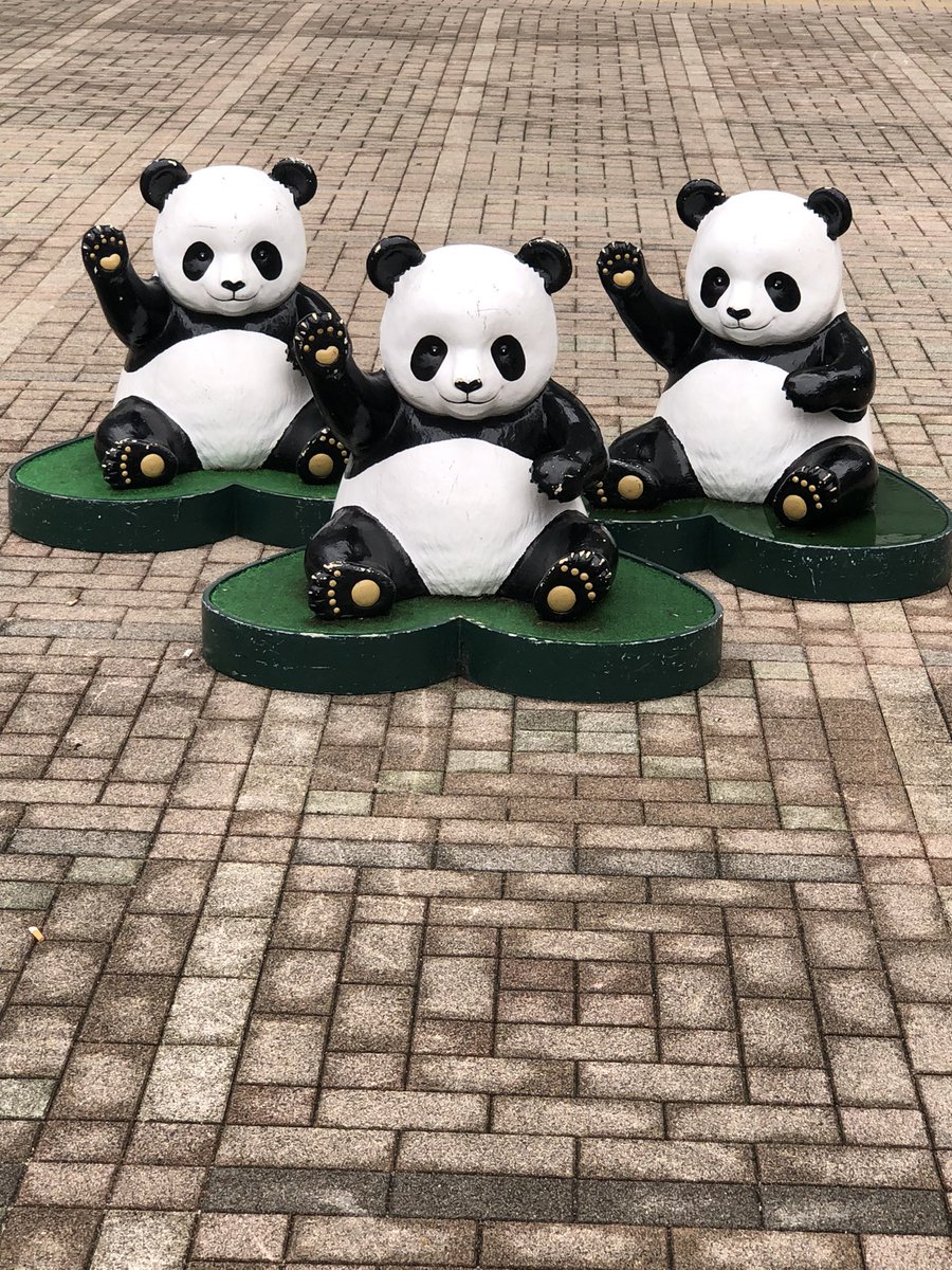 purehave_trpg's tweet photo. 🐼 https://t.co/BSF1oKj2Tc