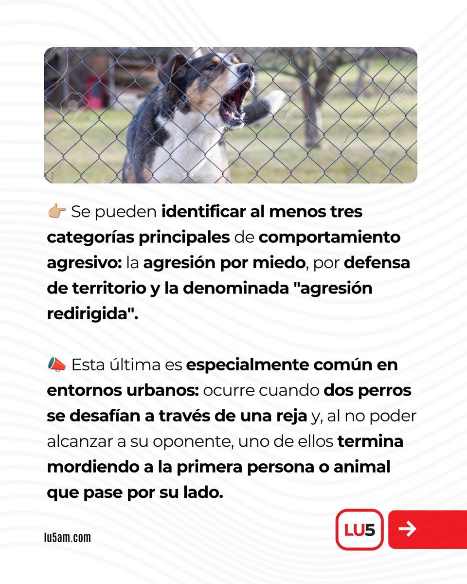 LU5AM600's tweet photo. 👉🏼 Además, se detuvo a analizar las situaciones en las que un perro puede morder. https://t.co/xVyvLv6mPt