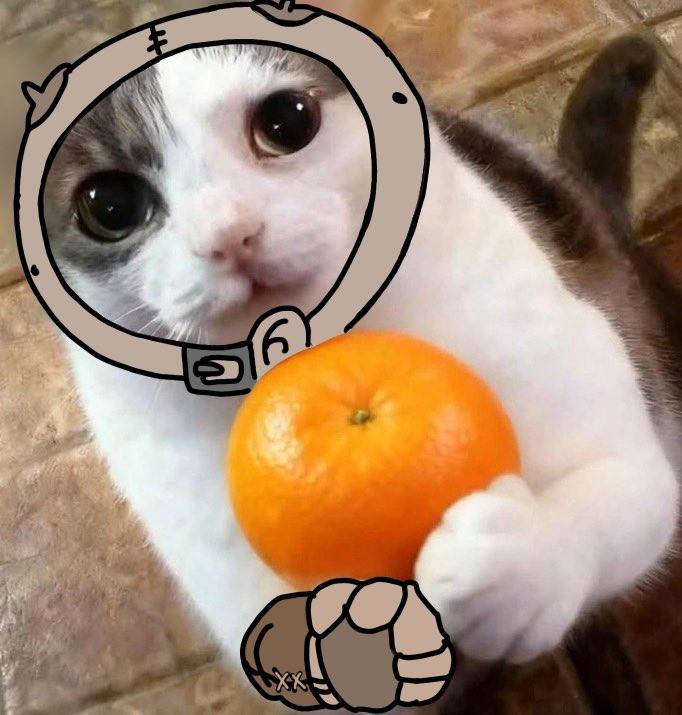 konehelvetista's tweet photo. I forgot about these https://t.co/GQifJbVtCk