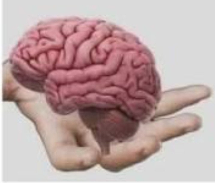 saughder's tweet photo. @chaosbIast me when I hold shorter in the palm of my hand https://t.co/YRxxz2KYm5