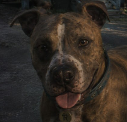 RicoGTAVI's tweet photo. Rico Hates Alligators.

In the Grassrivers, he can even refuse to leave the vehicle when one is nearby.

Rico is essentially GTA 6’s successor to Chop, but with a much bigger role in the open world. https://t.co/j14qlozish