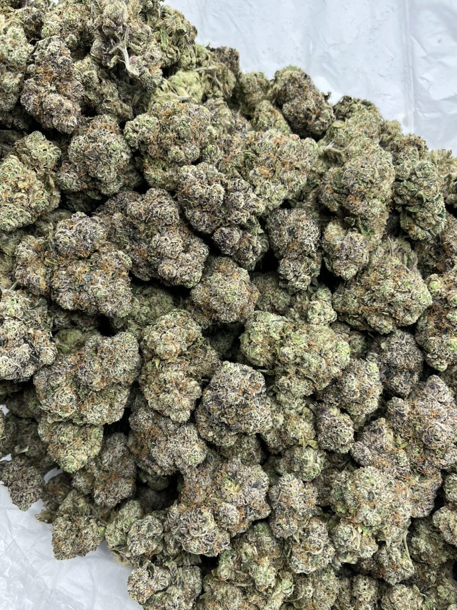 SundropGenetic's tweet photo. @mr_viewX For any inquiring  

https://t.co/C4BYVWhsCp

#NewJersey #Massachusetts #NorthCarolina #Michigan #Virginia #Michigan #Pennsylvania https://t.co/tZJkPl8kdu