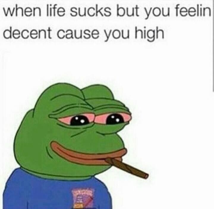 WeedPorns's tweet photo. Forever a mood https://t.co/6WRdV5Kewd
