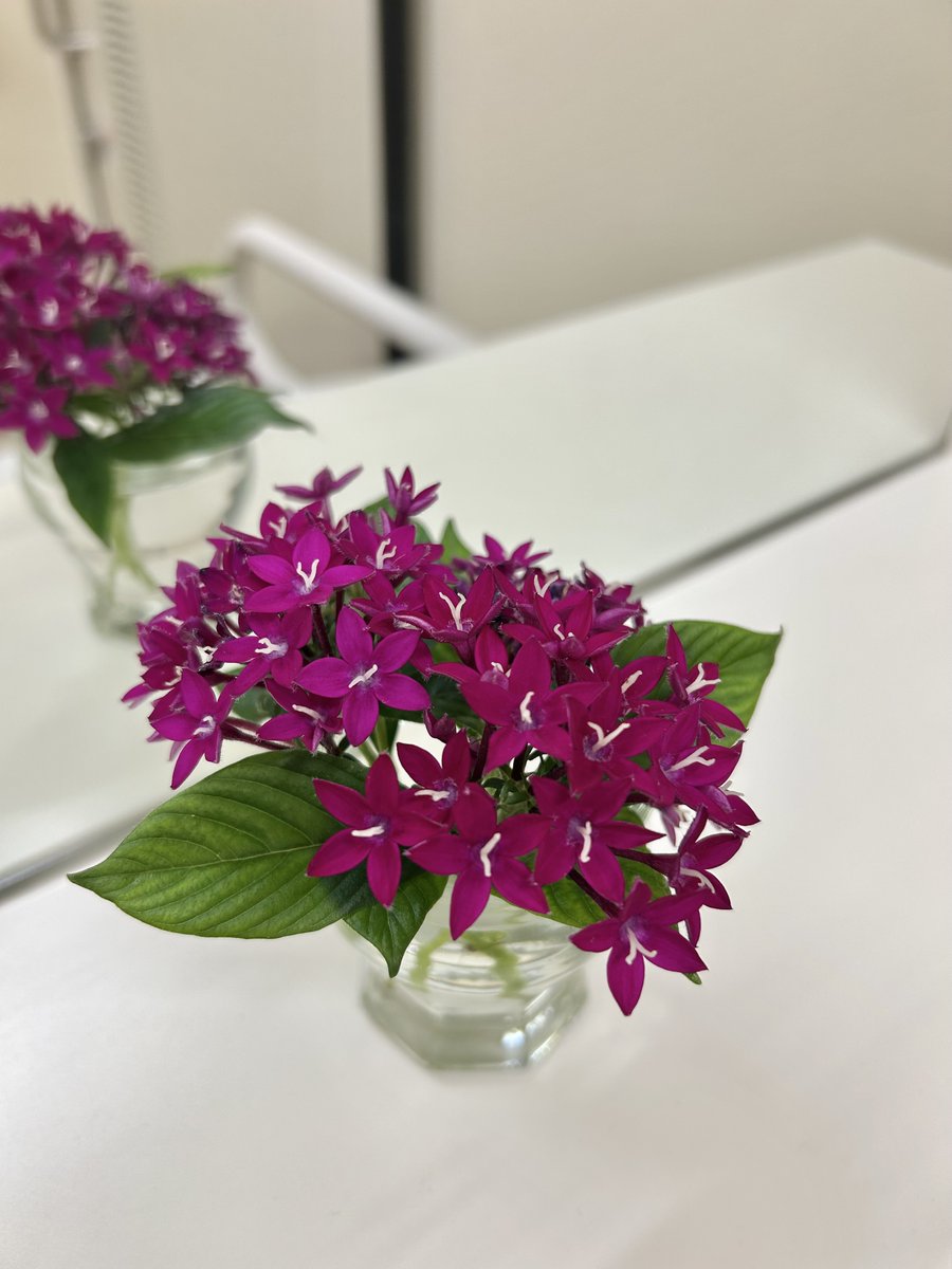 edach_official's tweet photo. 本日8/23は、日曜日のため #17時閉館 となります。図書の貸出＆返却等は、お早めにお願い申し上げます。今日も天候が不安定ですので、気を付けていらして下さいね。
#荏田コミュニティハウス
#日曜祝日は17時閉館
#ペンタス https://t.co/qesN1eqEtB