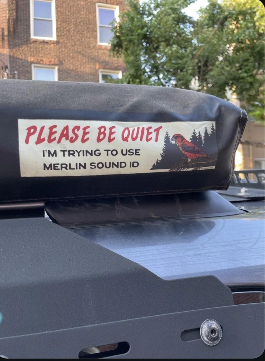 murraycoombe's tweet photo. I've been considering attaching this sign to myself permanently https://t.co/32IMJC977y