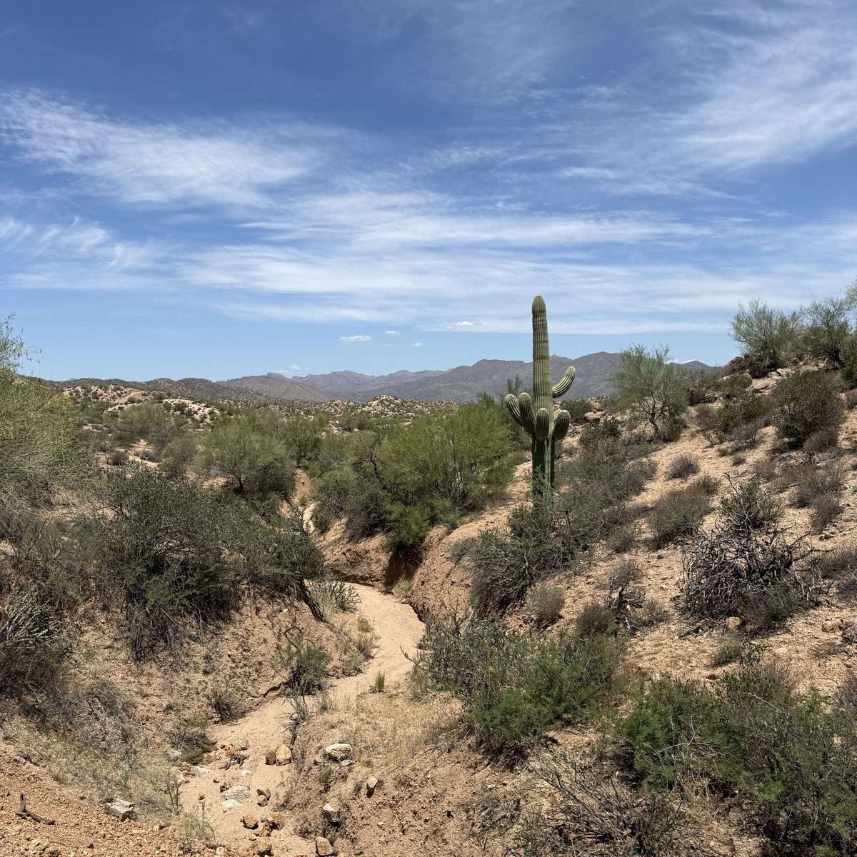 zane3k's tweet photo. Who would’ve thought Arizona is hot as fuck https://t.co/0yyxOdBmQn