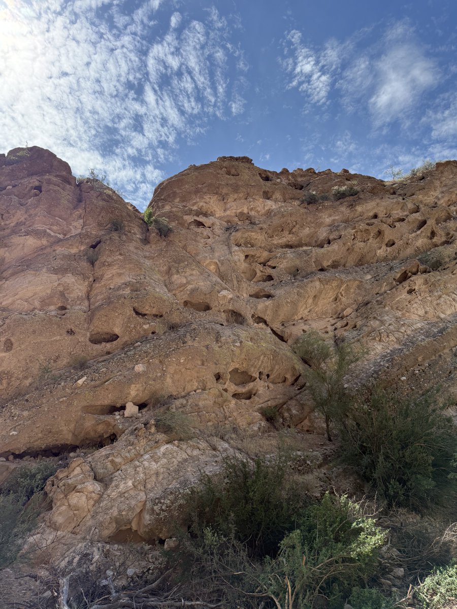 zane3k's tweet photo. Who would’ve thought Arizona is hot as fuck https://t.co/0yyxOdBmQn