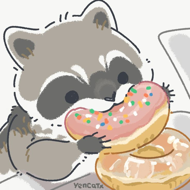 ShouldHaveRacc's tweet photo. i love doughnuts https://t.co/1NrtwhSX2v