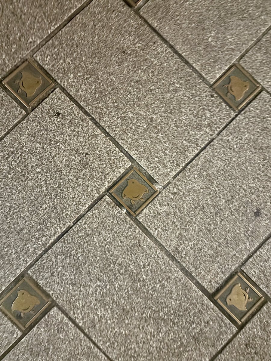 kyotonoano's tweet photo. 先斗町の四条側の入口に目を落とすと、一つだけ親子の千鳥とハートの千鳥がいるんだそうな。
まいまいツアーで先斗町の大當両へ。3代目のご主人に先斗町をご案内いただき、納涼床で締める。ベンガラの建物が鮮やかで目を引く、湯葉懐石の老舗。お隣さんと1階・2階の屋根が入り組んでるのは元々一つの料理屋さんだったから。
店主の上村さんは超大手のエンジニアから転身した異例の経歴、英語も堪能。物腰柔らかなお方です。
鴨川は納涼床とか床、貴船は川床という、というのが一般的だけど、久々の床はすごく気持ちよかった。擬宝珠の向こうに見える菊水と南座。目を下ろせば等間隔に座る若者たち。帰る頃には店にあかりが灯る。
先斗町って海外の人が増えてお店も様相が変わってしまってなんとなく夜は足が遠のいてた(散歩には来る)けど、やっぱりいいね。どうか守ってほしいな、こういう場所のひとつひとつを。不思議な和牛の店がこれ以上増えませんように。