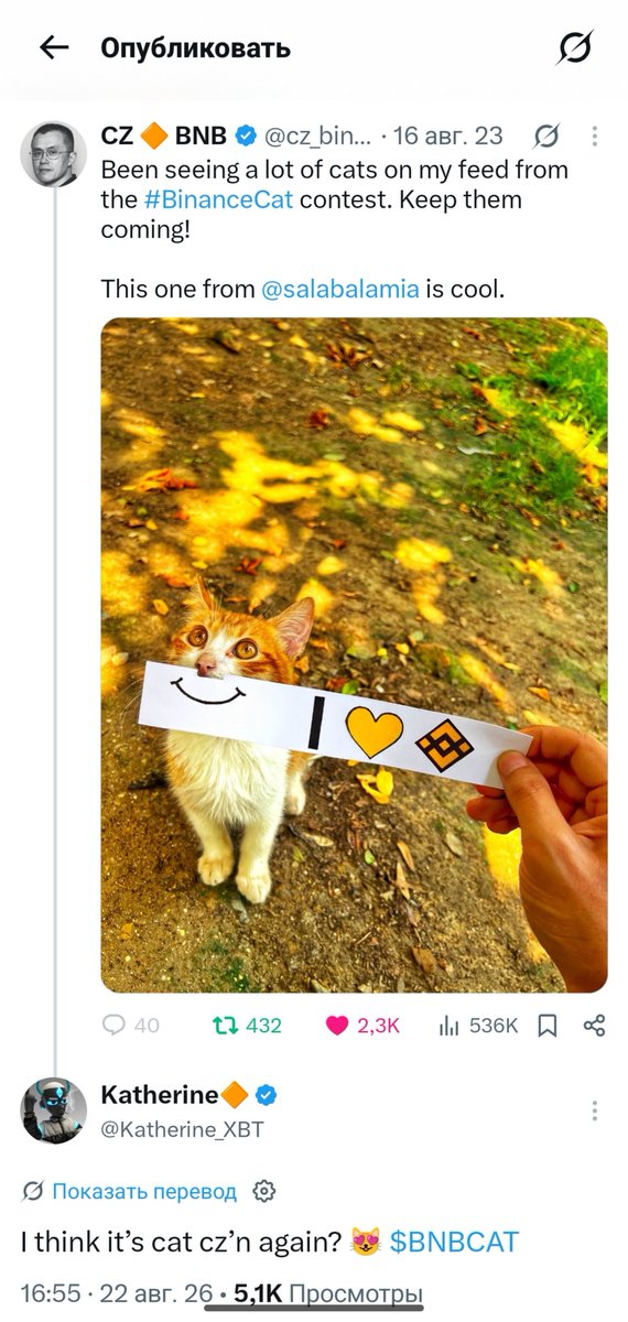 AgabeyovRa10201's tweet photo. $BNBCAT  is steadily gaining attention 100 million no longer seems like a dream but the next big goal 👀
A strong community growing interest and enormous potential make #BNBCAT one of the memecoins worth keeping an eye on...
And if a #Binance listing does happen it could be a powerful catalyst for the project 🚀
BNBCAT to the moon 😼😼😼
Ca:
0x3EFBfFf95576e1d23cF6Ead0AcD2E73F4d6A7777 

@cz_binance let's gooooo 🚀