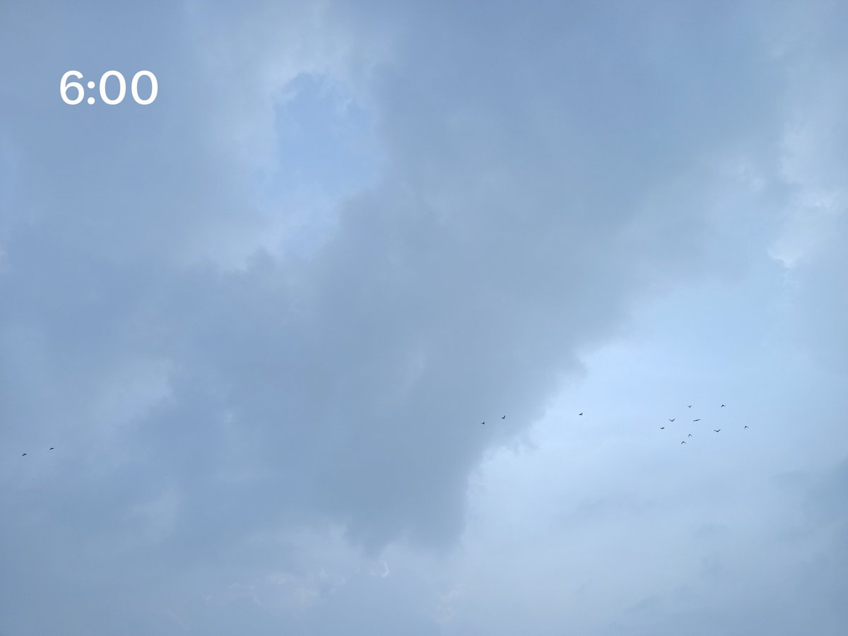 yashchauhanz's tweet photo. Wake up while the Sky is Blue, Suprabhaat!
#thoughtfortheday #morningsky https://t.co/Fg8hwpuQ0w