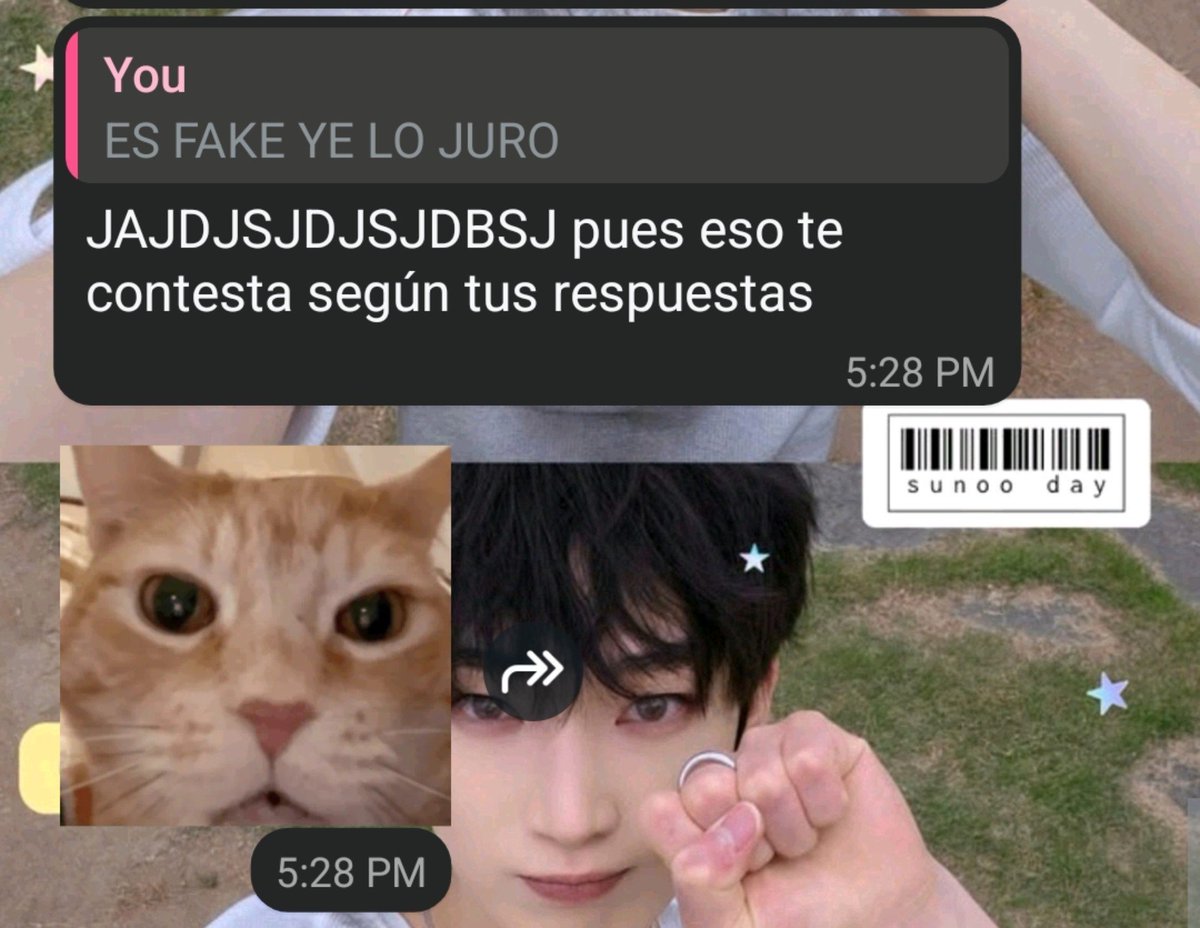 sunoopromax's tweet photo. QUE NO SOY UN CATBOY, ENTIENDAN Q ESE TEST ESTA MAAAAAAAAL https://t.co/8PcACH34RM