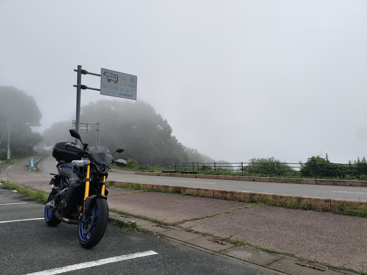 u_ra_ma's tweet photo. ライダーの義務なので、秩父高原牧場でソフトクリーム。小川町から雨に降られました。一緒にソフトクリーム食べたライダーさんの隼、良い音してた https://t.co/HnkXhlVVrO