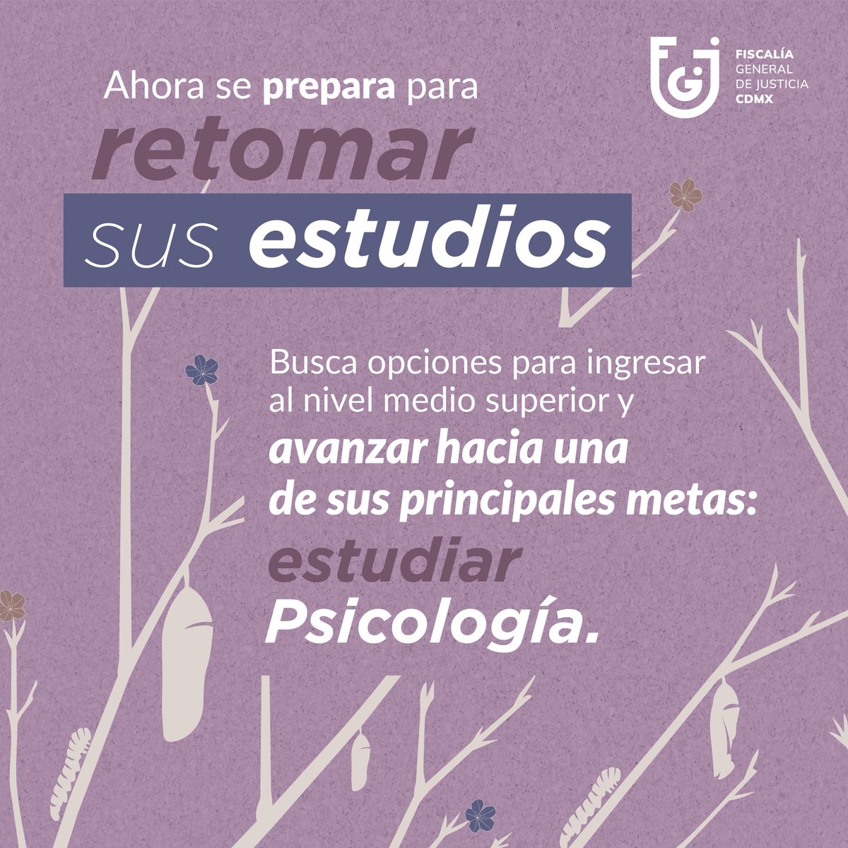 FiscaliaCDMX's tweet photo. https://t.co/HM2ESsIYDt