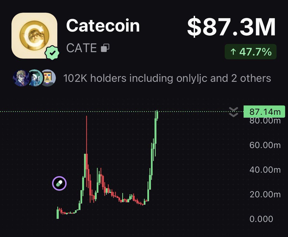 poe_real69's tweet photo. $CATE is making people believe again https://t.co/KFbyanaSRb