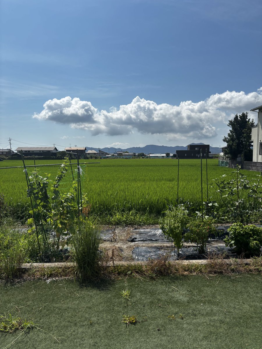 ritopan1213's tweet photo. いい天気だなー https://t.co/a7VUTbsUTT