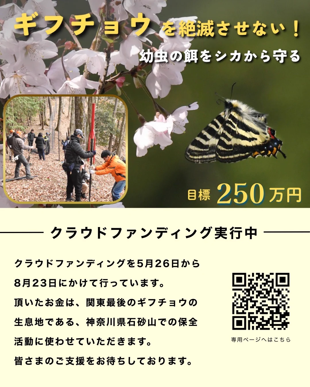 認定NPO法人日本チョウ類保全協会JapanButterflyConservationSociety