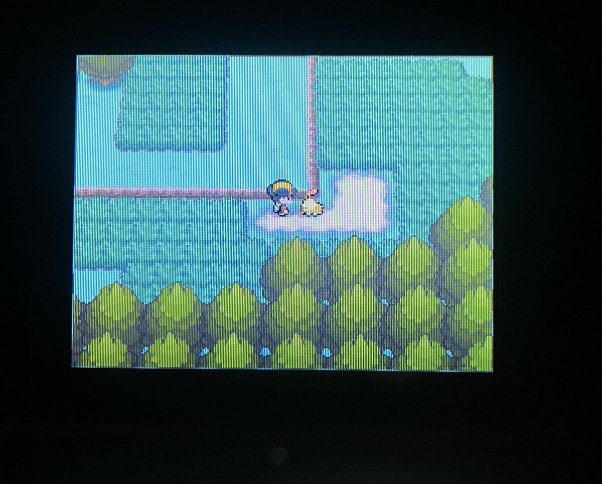 Pathlow_ZtH's tweet photo. Shiny Chikorita after only 12 resets https://t.co/ohEhwyxpTN