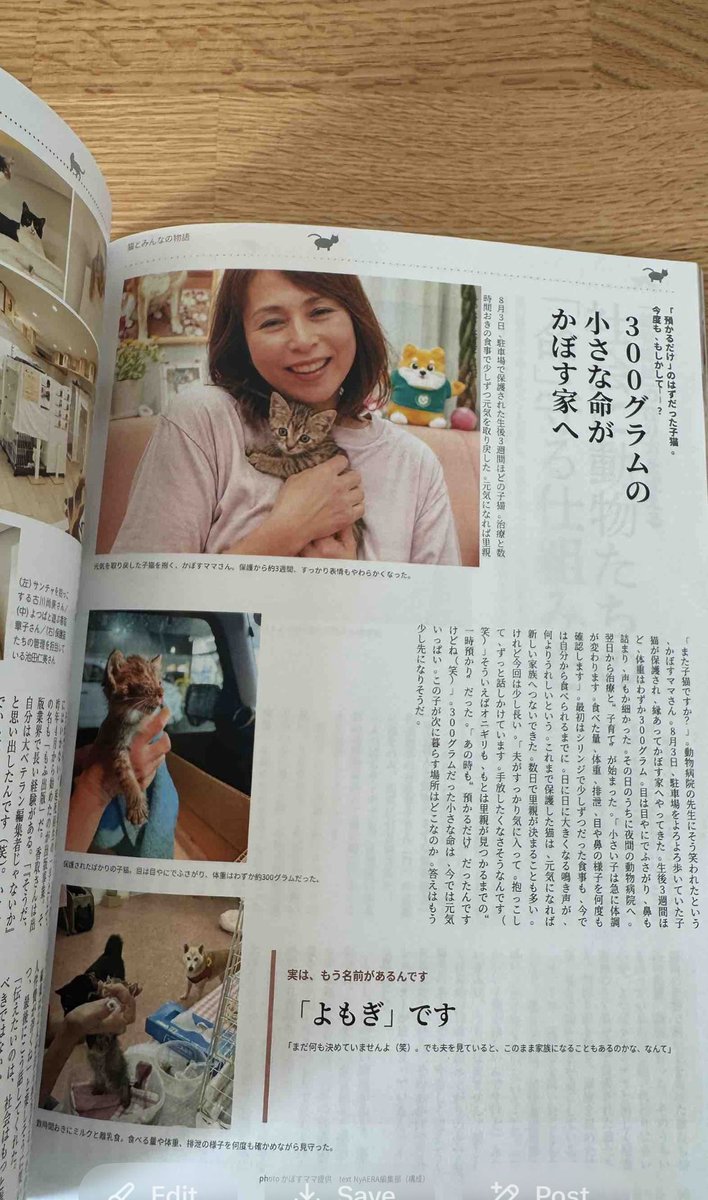 Mr_KageX's tweet photo. Chat gpt also confirmed the cat name to be YOMOGI. $CATE is at 90 mill and it’s not even the real name , and now we got $YOMOGI which is the real name that @kabosumama gave. 

https://t.co/4vcAXvlFLS

The OG $YOMOGI : AeJg1mfQDHJQHP3Jhcpb4tHdB1UfhSpQfG42dwJwpump https://t.co/5FOpKI8jFm