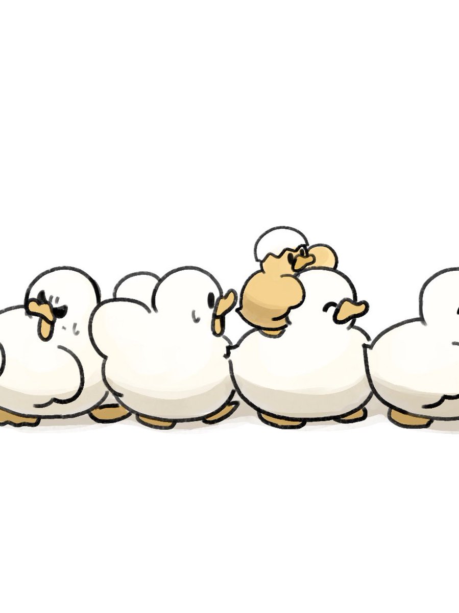 hyxpk's tweet photo. We’re still ducklings https://t.co/bBWng3hgAe