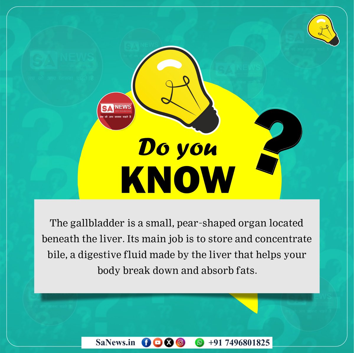 SatlokChannel's tweet photo. Do You Know?

The gallbladder is a small, pear-shaped organ located beneath the liver. Its main job is to store and concentrate bile, a digestive fluid made by the liver that helps your body break down and absorb fats. https://t.co/oPU9Cr71xJ