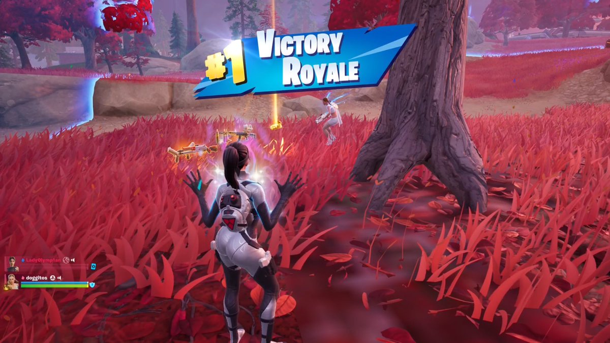 capkrishx's tweet photo. Sweet ASS Victory Royale. #fortnite https://t.co/L5e3UiS6ne