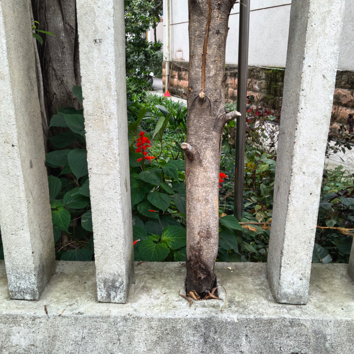 linzaoyu's tweet photo. 注意安全 https://t.co/k8kowVf7u5