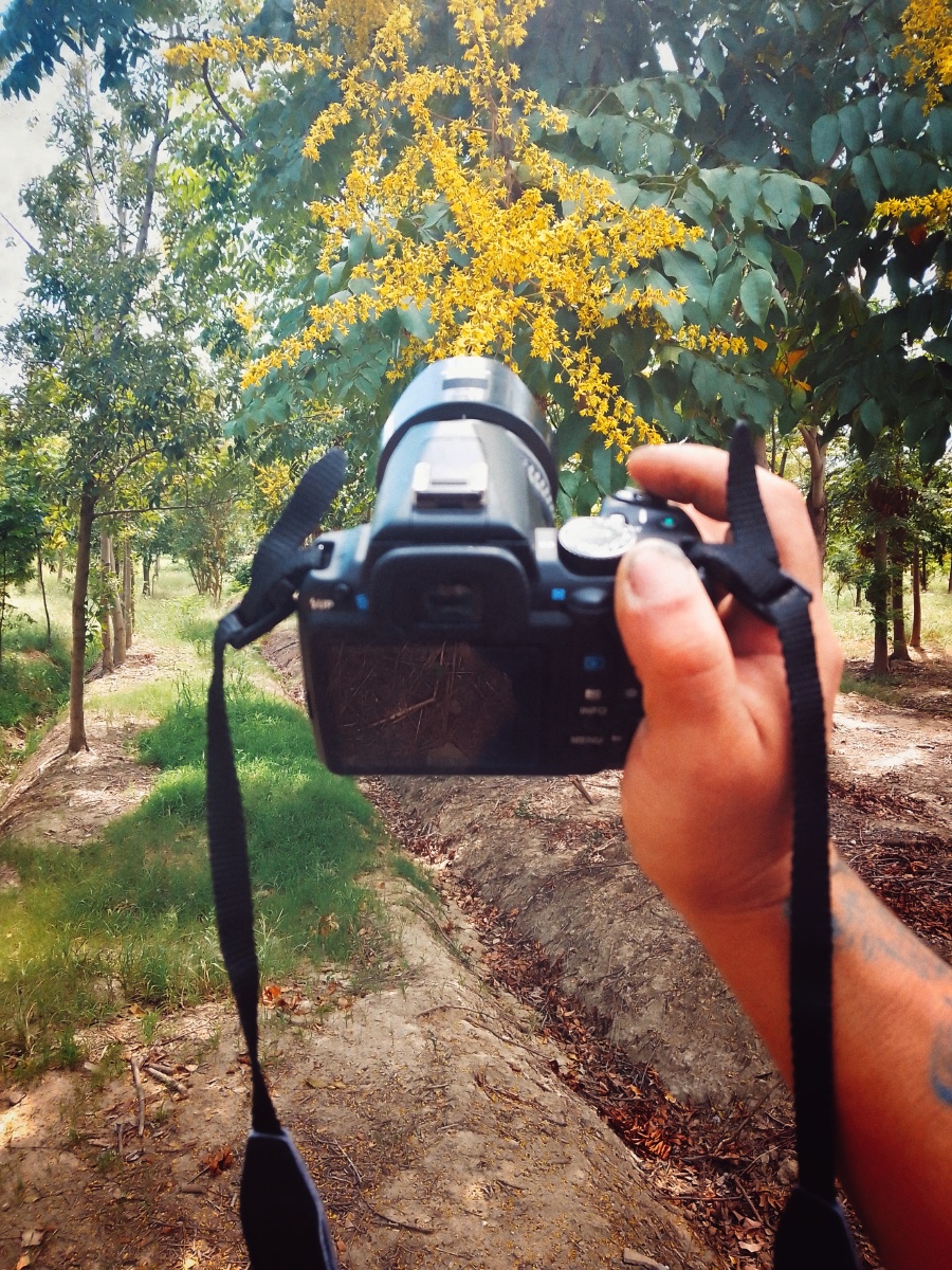 msadalfary's tweet photo. New to photography Start with the basics: frame your shot, adjust ISO for light, and shoot in natural light first. Perfecting these will level up your photos fast!， https://t.co/YOfBgubxJm