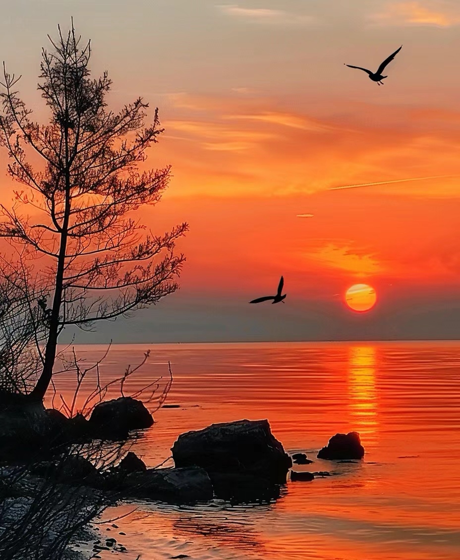amina_sunday's tweet photo. Our campus photography club’s sunset photoshoot is happening this Saturday by the south lake! Come join us—free snacks, fun shots, and new friends! https://t.co/vtW9emeUyS