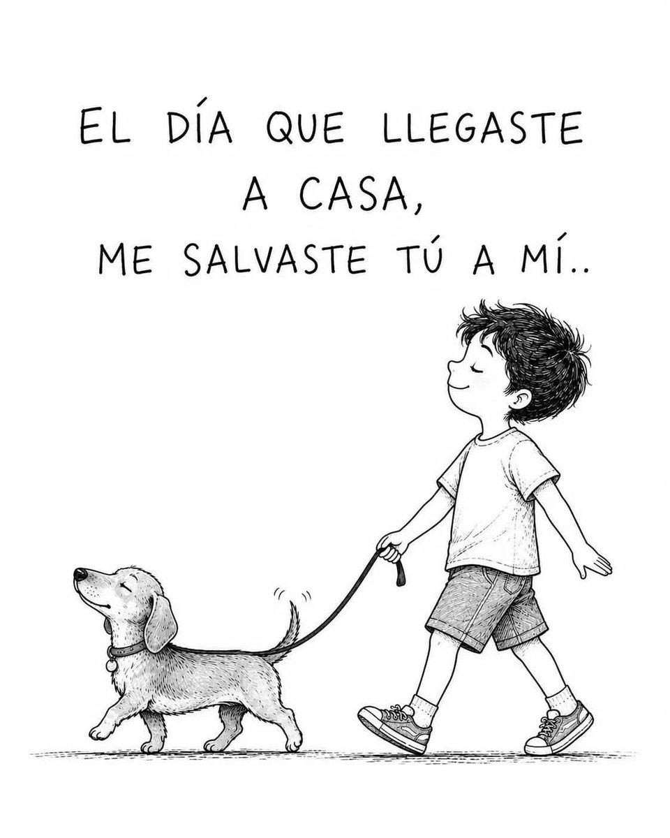 DiloConPerritos's tweet photo. https://t.co/xc6XBNMiBL