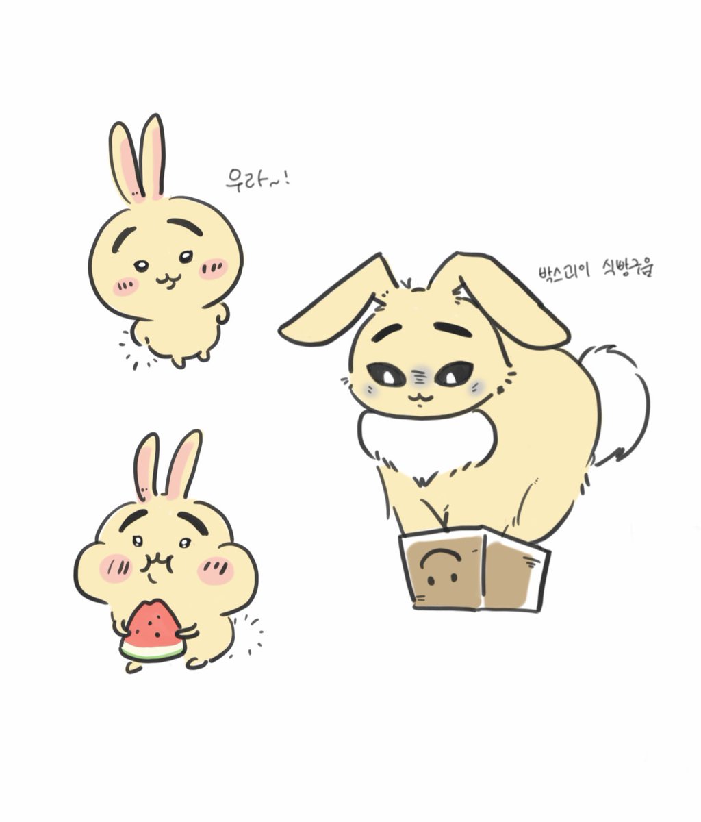 nunununuuuh's tweet photo. 케사기와 박스괴이(마음의 눈으로 보세요) https://t.co/AAR7pOTysJ