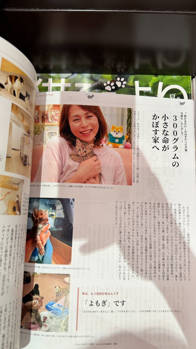 Yomogithecat's tweet photo. Yomogi https://t.co/FDGMvc9EDS