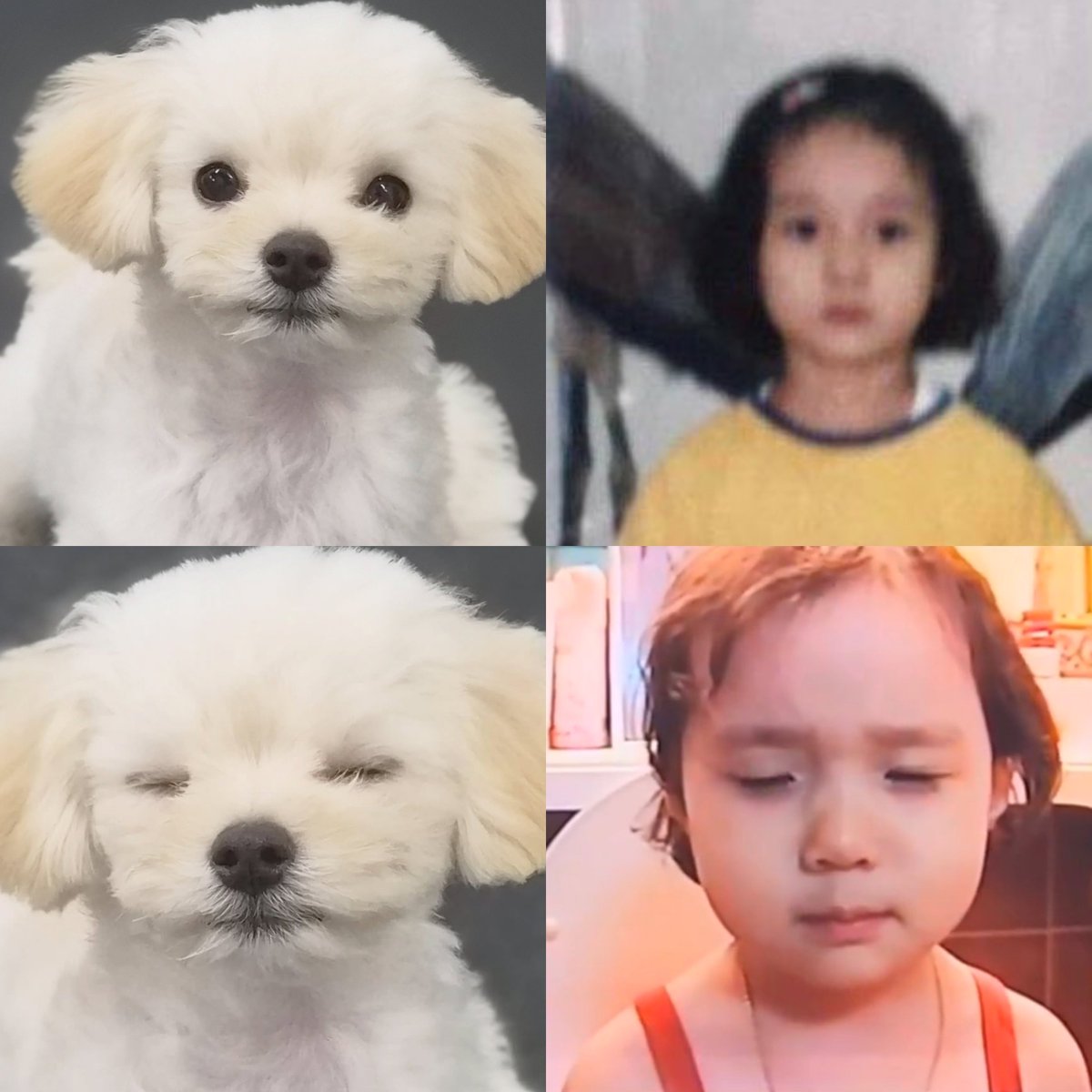 wntrstats's tweet photo. When winter's mother said she is the puppy of the family, she mean it literally https://t.co/Lf4gdtPrvW