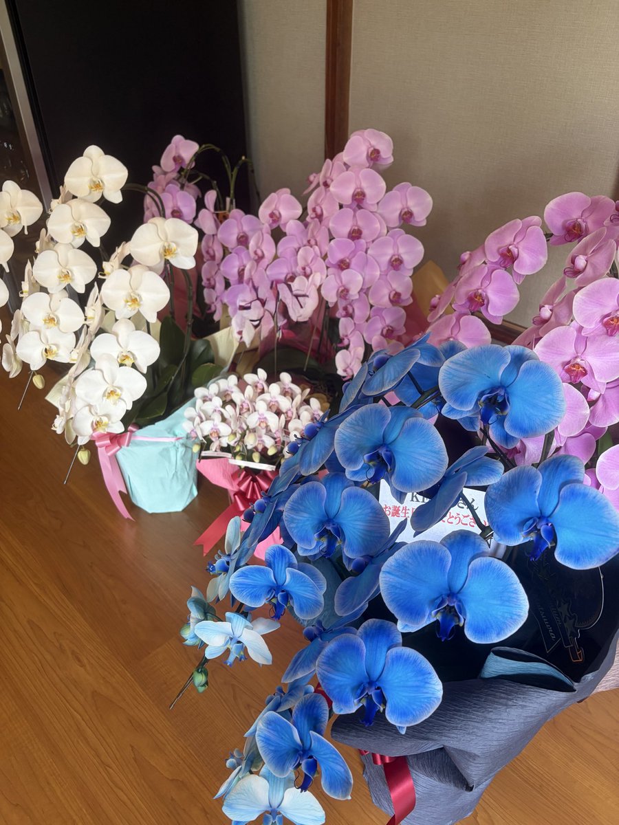 Ks_tenki's tweet photo. 今年届いた
お花達です！
改めてありがとう🩵 https://t.co/AVwrqZEylC