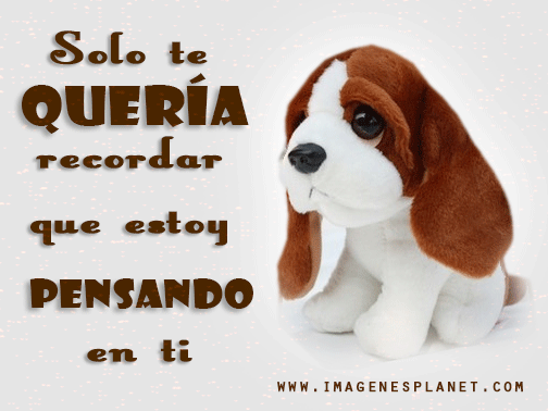 coolfunnnn's tweet photo. buenas noches11 https://t.co/C2YjaMqxgE
