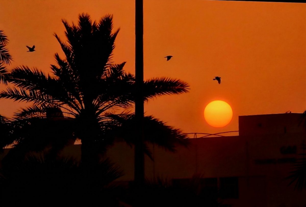 j4u18's tweet photo. أُجِلُّكِ أَنْ أُسَمِّيَكِ بِاسْمِكِ
وَأَكْرَمُكِ عَنْ أَنْ أَصِفَكِ بِالْجَمَالِ وَحْدَهُ
فَأَنْتِ فِي الْقَلْبِ مَكَانٌ لَا يُدَانَى
وَفِي الرُّوحِ مَنْزِلَةٌ لَا تُضَاهَى  

🤍🩵
#صباح_الخير
#GoodMorning #البحرين 🇧🇭 #Bahrain 
#YNWA https://t.co/CBCgZRRc99