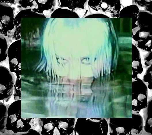 scopolamine666's tweet photo. My early exposure to graphic content like gore may have been largely positive overall, you will never catch me speeding, getting involved in the drug trade, or robbing anyone because I've seen the consequences of what happens. Still, it is visual poison, it's not for everyone. https://t.co/aDLlq1oMyl