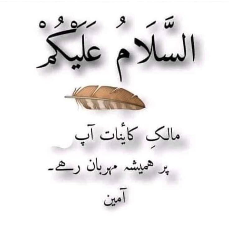 Rakhsha24269626's tweet photo. @Shahidmasooddr وعلیکم اسلام سر
 اللہ پاک آپ کو اہل خانہ اورآپکے چاہنے والوں کوہمیشہ اپنی حفظ وامان میں رکھے صحت مند خوشحال برکت عزت اور عافیت والی لمبی زندگی سے نوازےلوگوں کے شر سے  نظر بد سے ناگہانی   آفتوں اور ناگہانی بیماریوں  سے سلامتی عطا فرماٸے 
آمین ثمہ آمین یارب العالمین🌹 https://t.co/oDCGPOf2A6