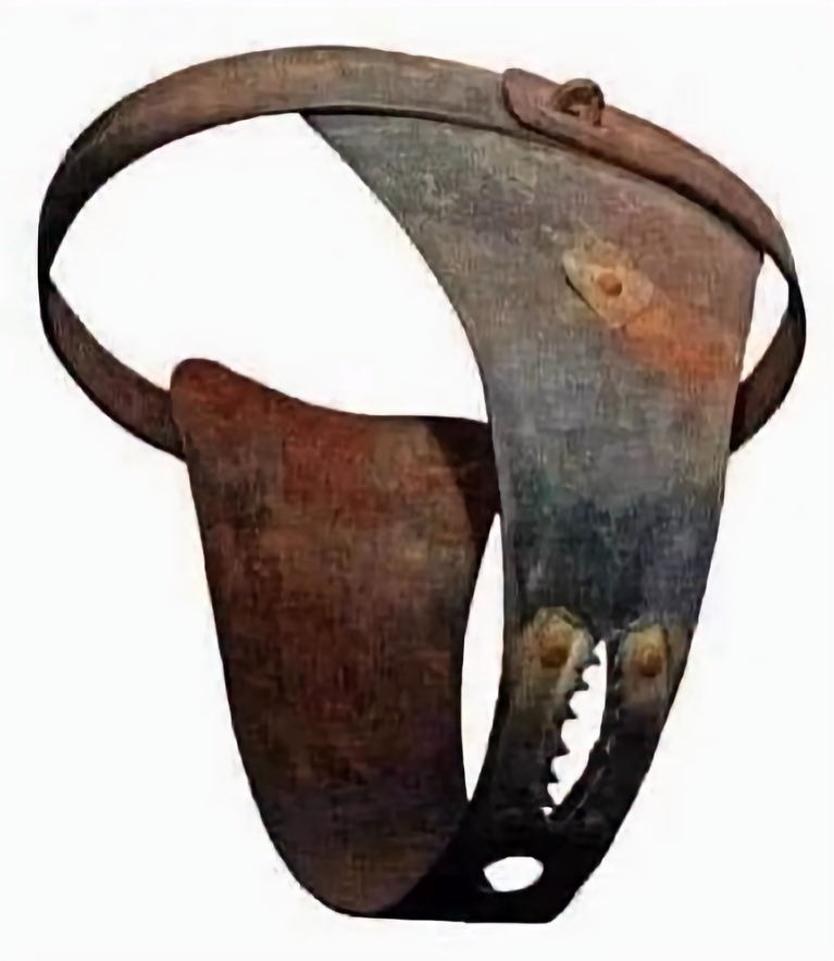 trumplicans2024's tweet photo. Do you have any idea what this is? https://t.co/fcdEcaTjv6
