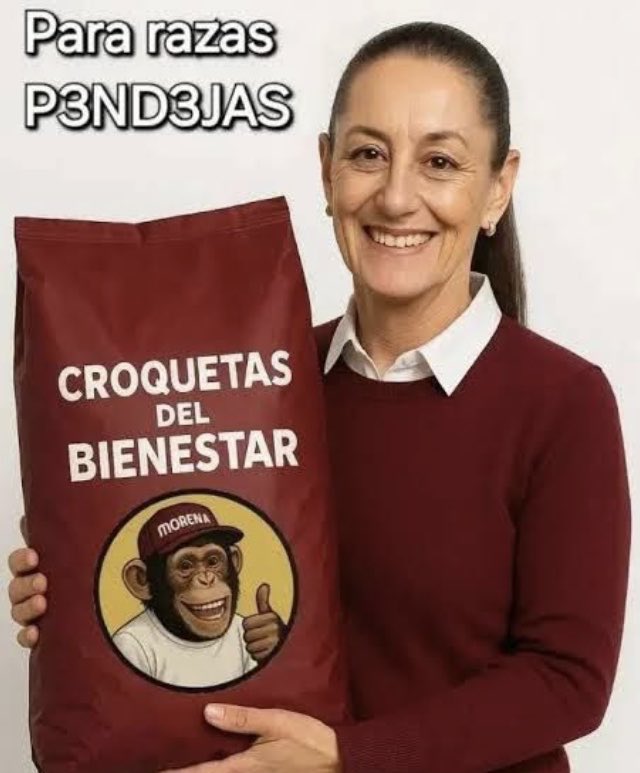 BrenditaBus's tweet photo. @luna_verdad @Oficial_Vicman #chairobot del bienestar! https://t.co/FY8Vlugk9A
