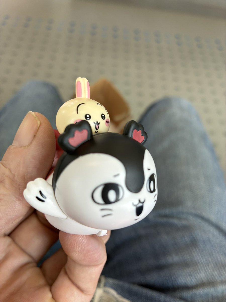 uribou2711's tweet photo. うさぎ🐰出る気がしてた。 https://t.co/qg2m1uLTQB