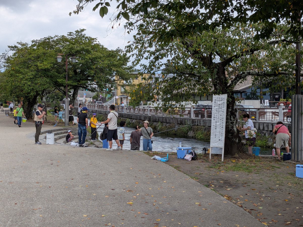 mikenekosou's tweet photo. 神社の横で釣り大会？けっこう釣れてたみたいですが放流してるのかな？ https://t.co/I9ipuVEn9E