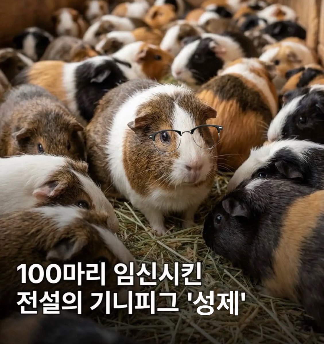 gaeddongmukgi's tweet photo. 꾸잉꾸잉꾸잉꾸잉 https://t.co/RRi74OHGS5