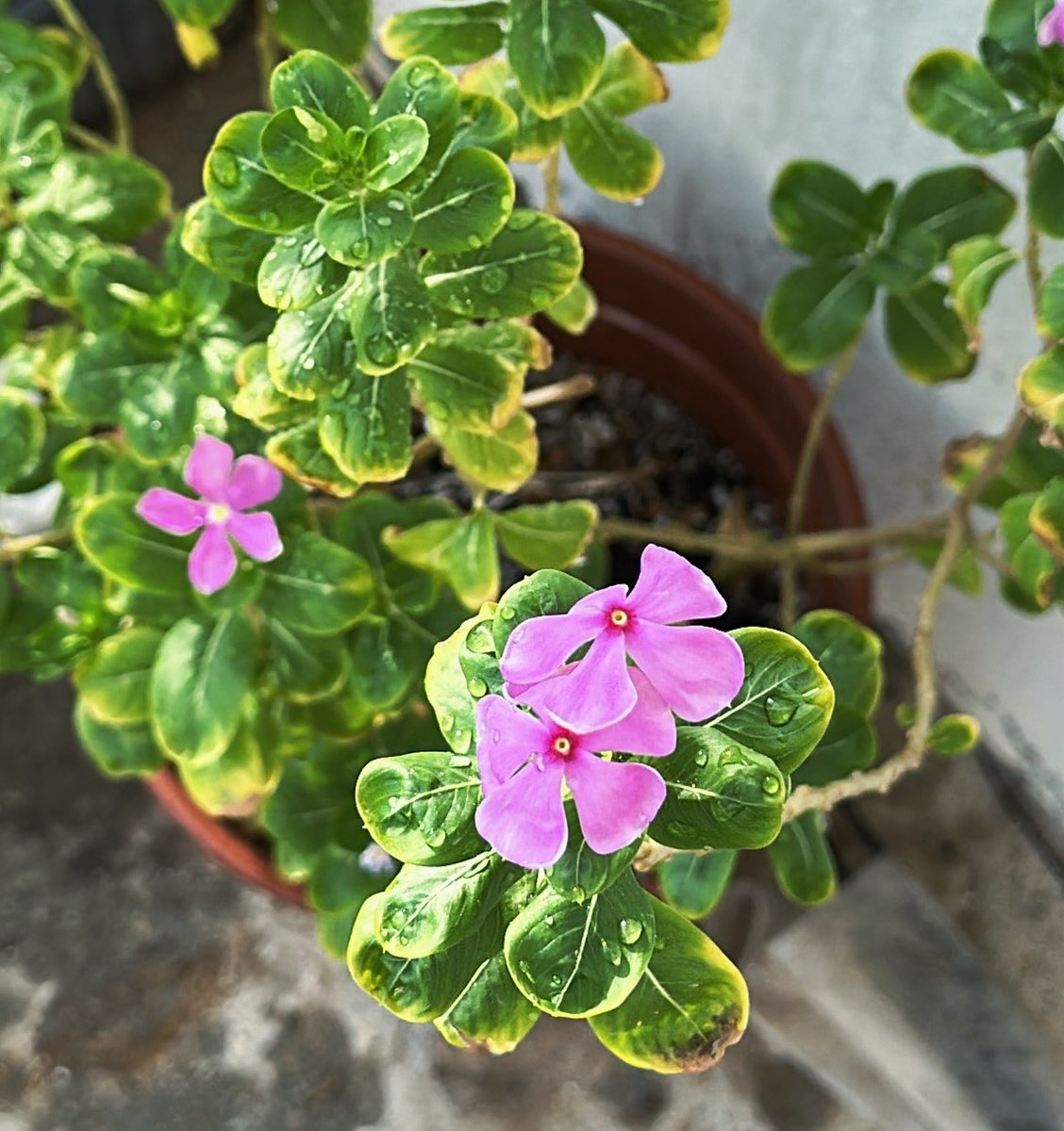 9ccqwl's tweet photo. https://t.co/Mk7JkukJif
