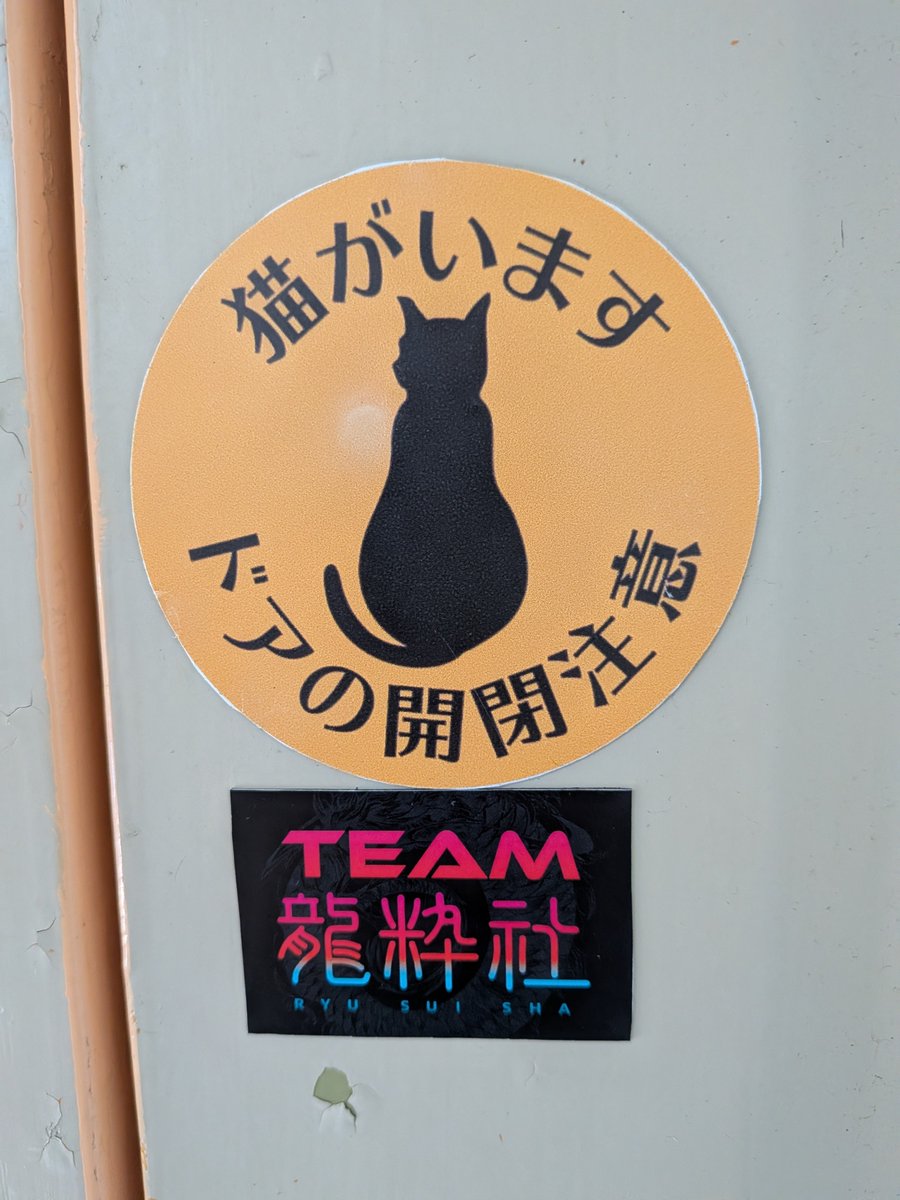suzupep222's tweet photo. 何とか引越しはでけた。

まだまだ中はぐちゃぐちゃやけど笑笑

見つけたら遊びに来てね🤗

多分、夕方からは居るはず😁

 #龍粋社
 #社員さん 
 #きゃんず
 #待ってるよ 🍀✨ https://t.co/511CH33Rmx