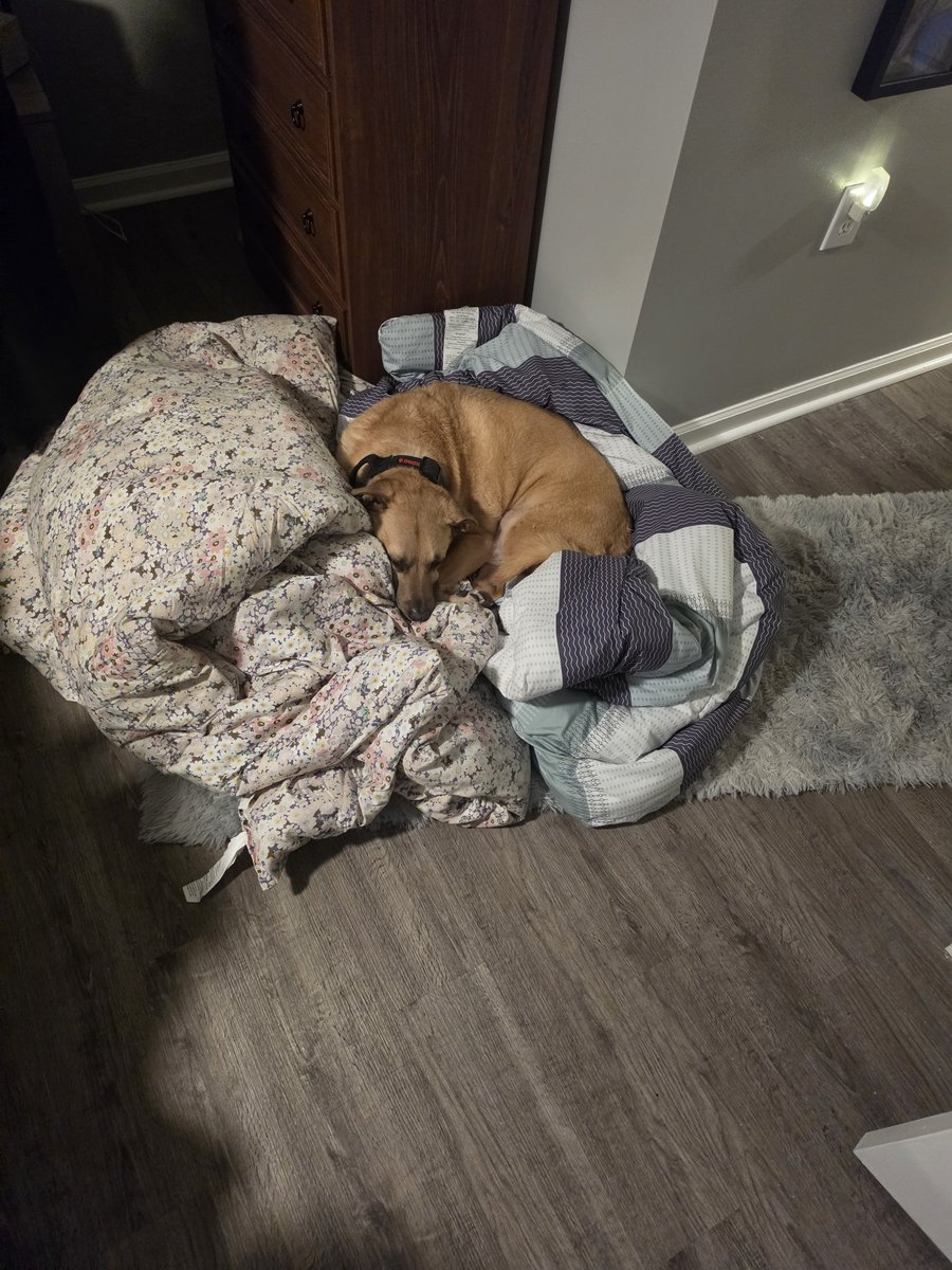 DruCodes's tweet photo. I aspire to be this lazy and pathetic one day. https://t.co/hCWUvora8q