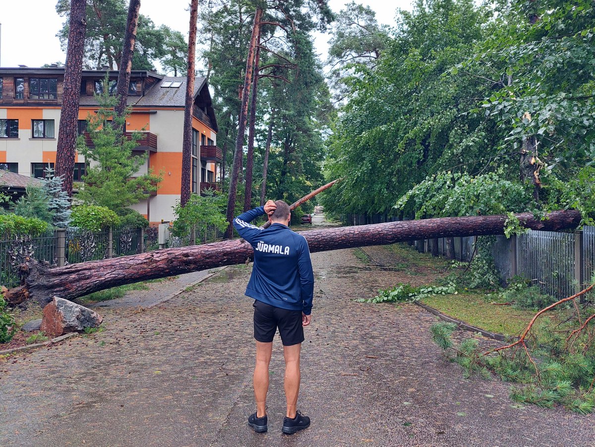 IvChiv tweet picture